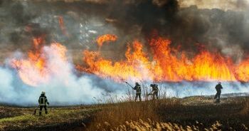 Wildfire Smoke: Health Precautions For Firefighters